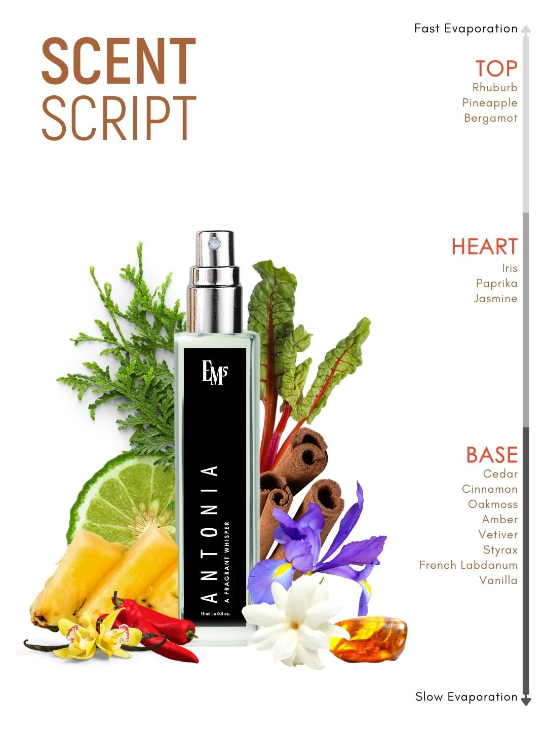 Antonia | Eau De Parfum - Image 10