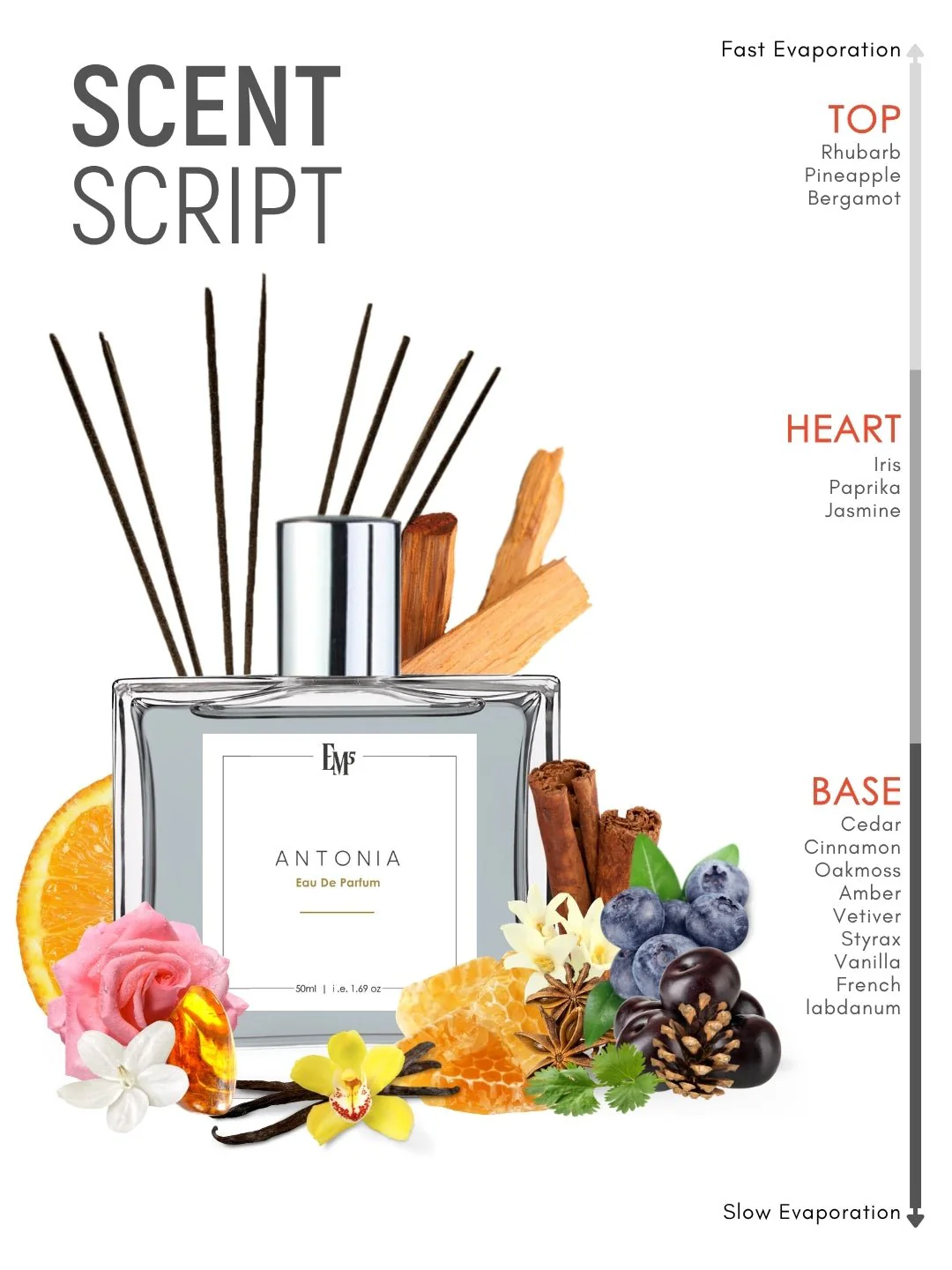 Antonia | Eau De Parfum - Image 3