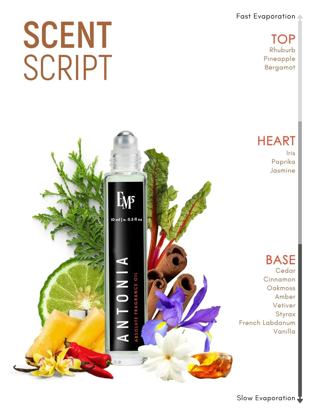 Antonia Perfume Roll-On - Image 4