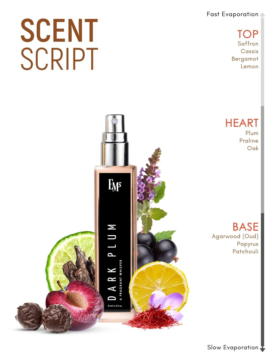 Dark Plum | Eau De Parfum - Image 10