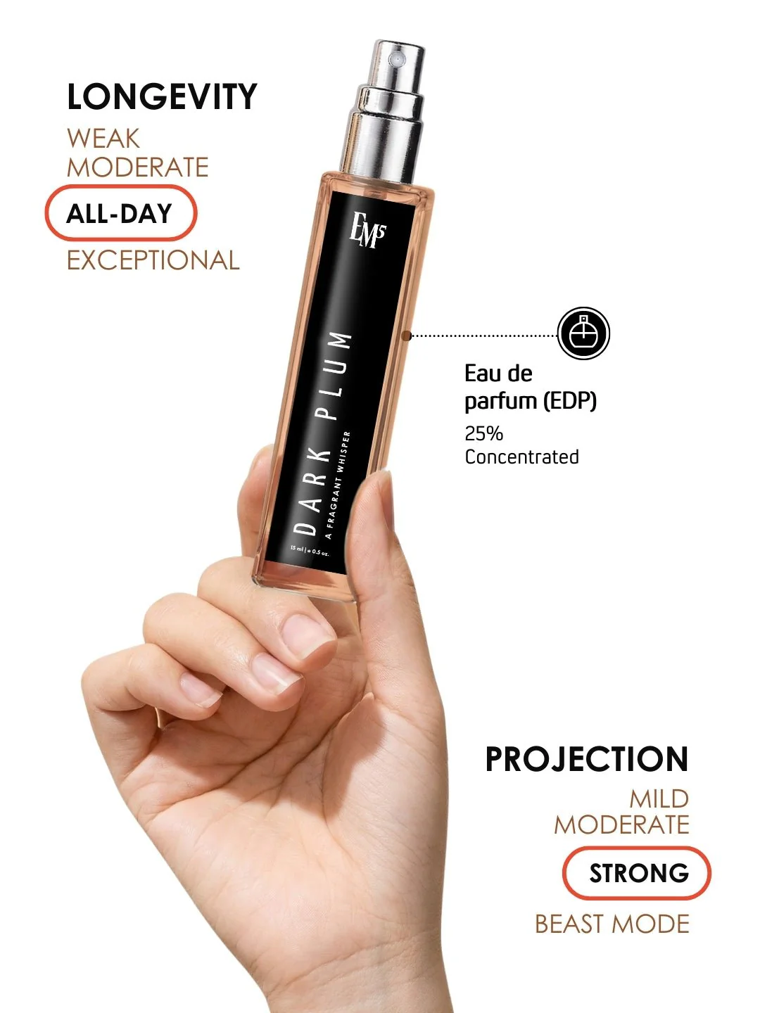 Dark Plum | Eau De Parfum - Image 8