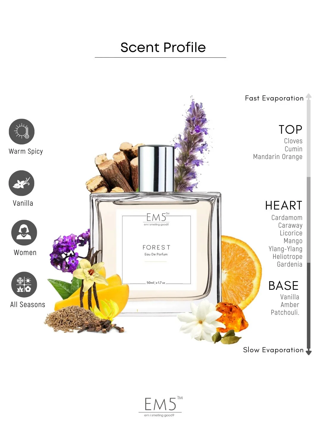 Forest | Eau De Parfum - Image 2