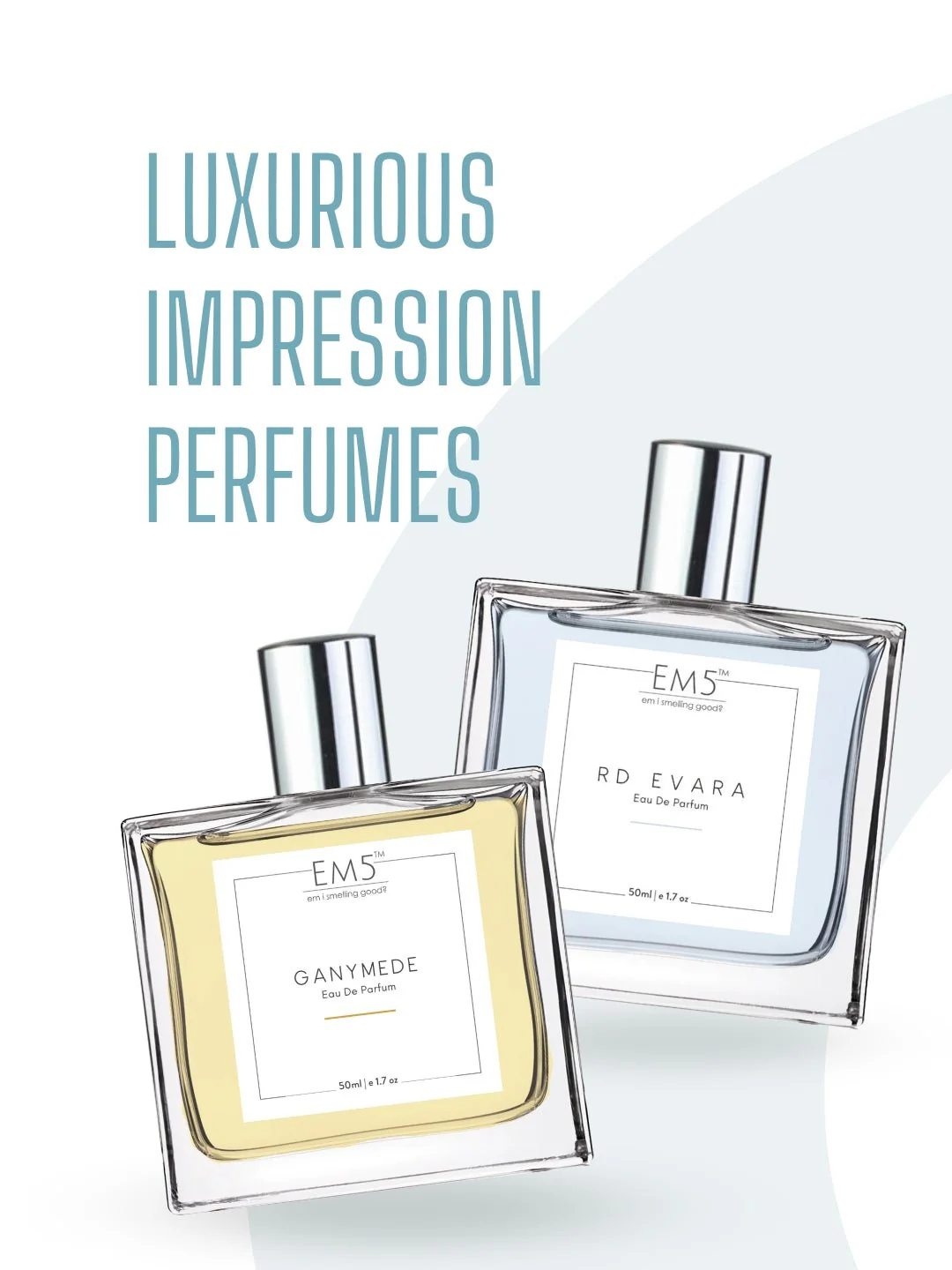 Forest | Eau De Parfum - Image 5
