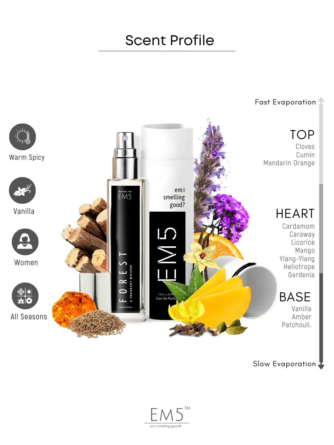 Forest | Eau De Parfum - Image 7