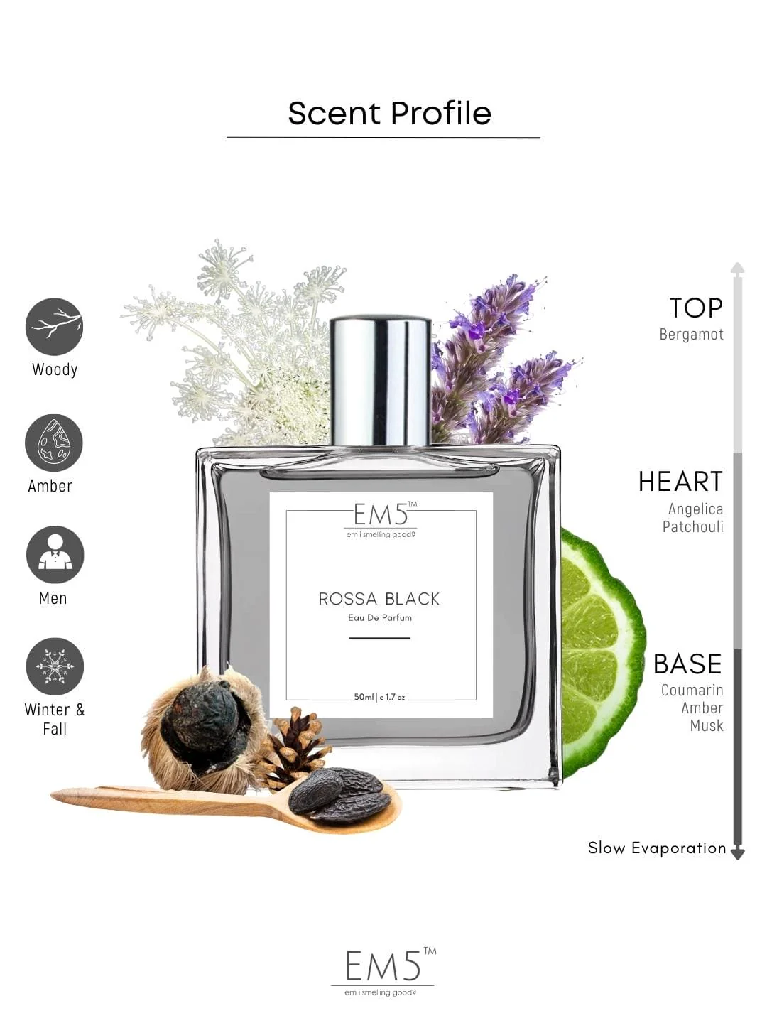 Rossa Black | Eau De Parfum - Image 2