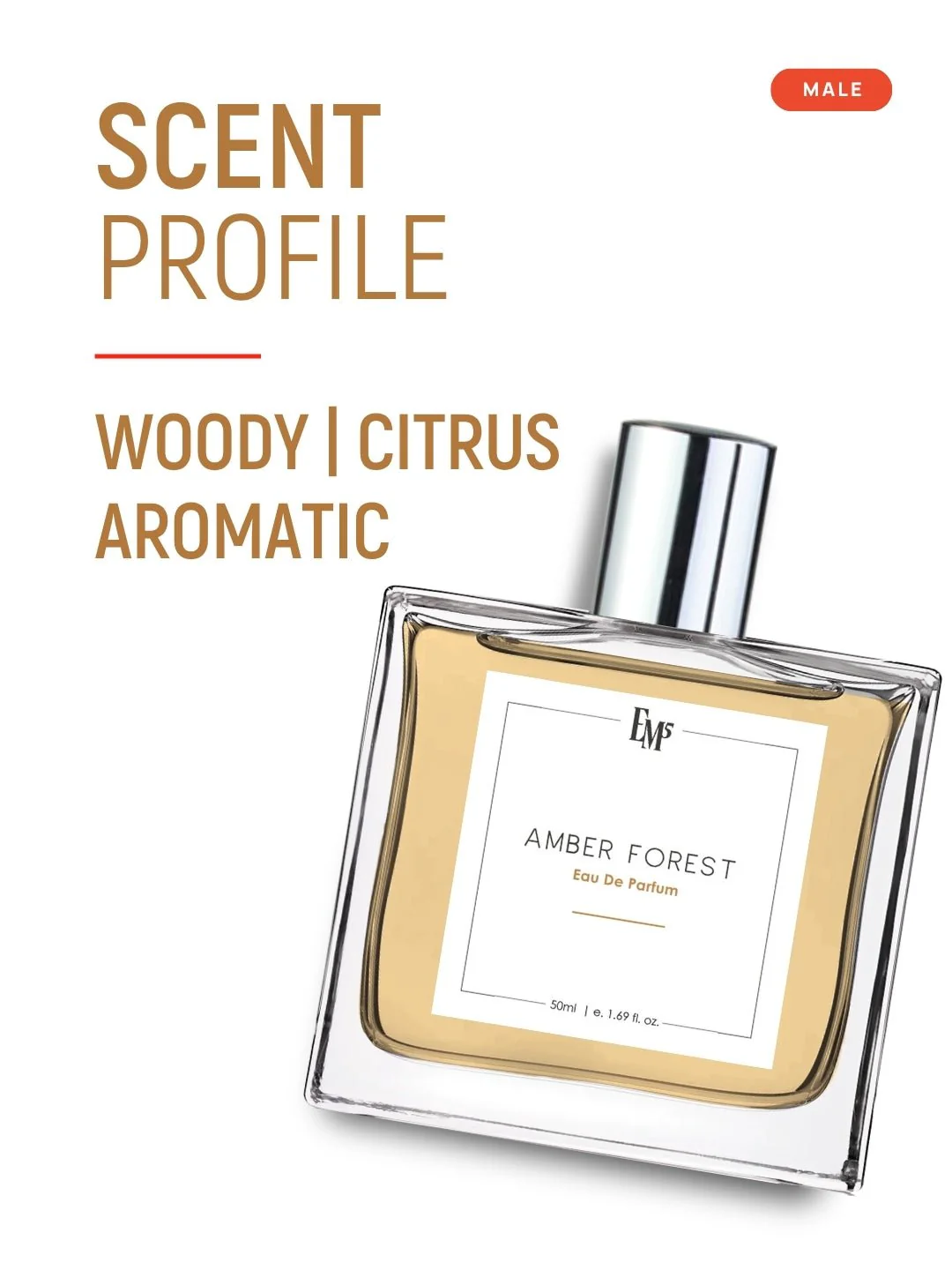 Amber Forest | Eau De Parfum - Image 2