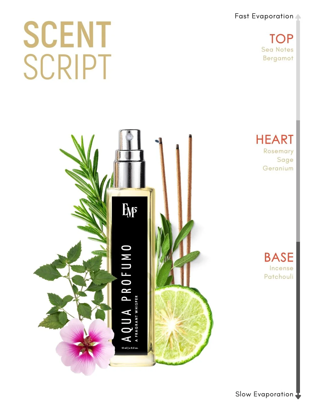 Aqua Profumo | Eau De Parfum - Image 10