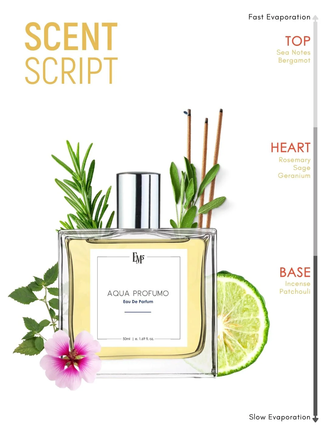 Aqua Profumo | Eau De Parfum - Image 3