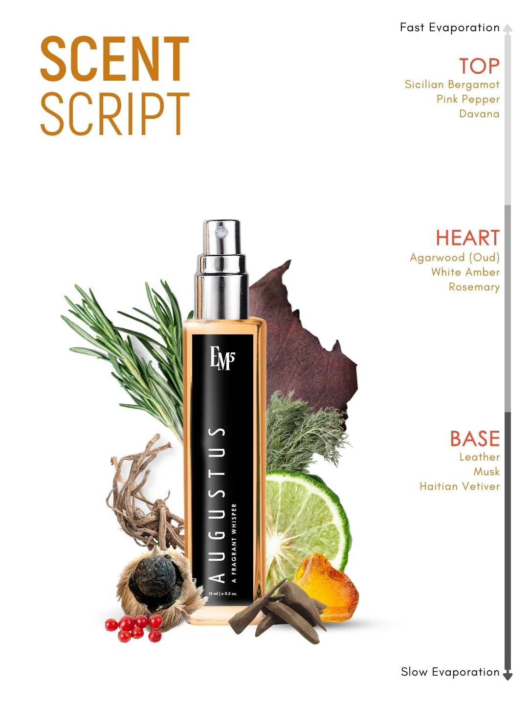 Augustus | Eau De Parfum - Image 10
