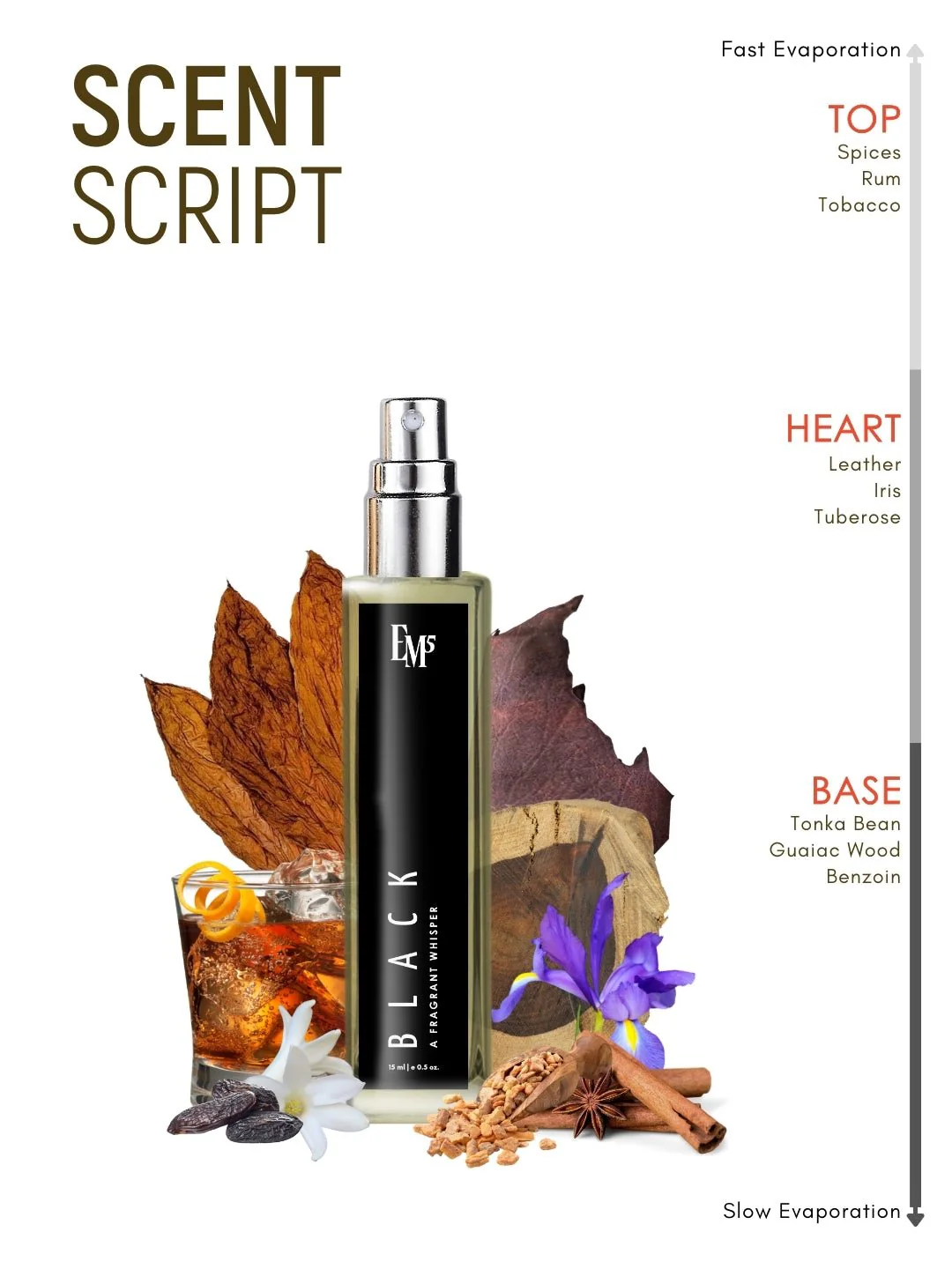 Black | Eau De Parfum - Image 10