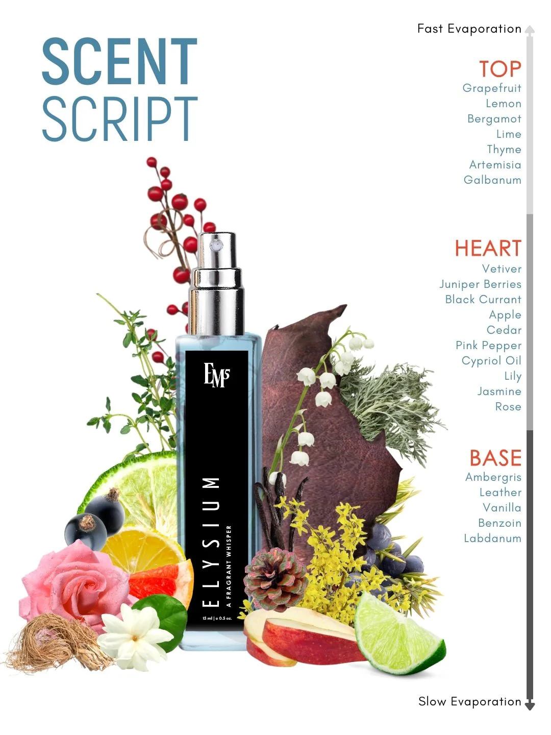 Elysium | Eau De Parfum - Image 10