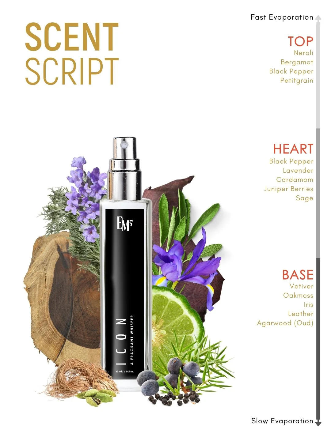 Icon | Eau De Parfum - Image 10