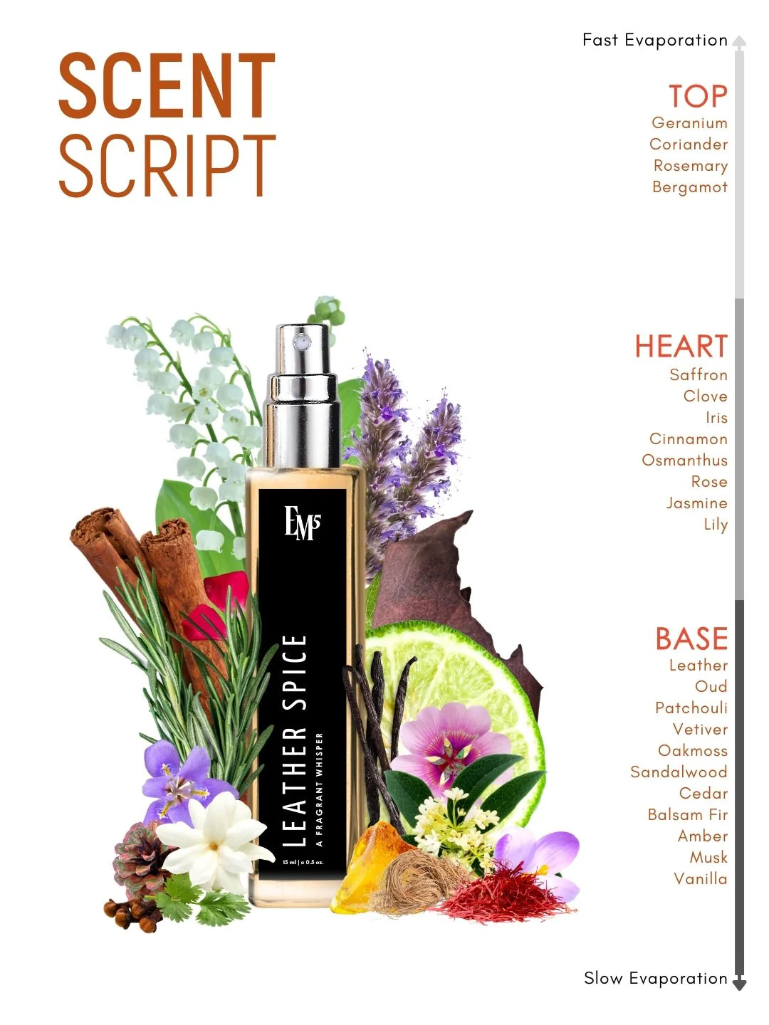 Leather Spice | Eau De Parfum - Image 10