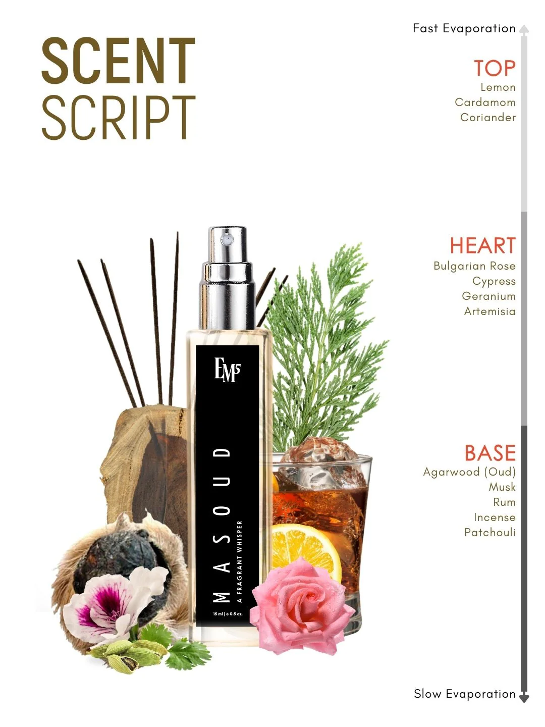 Masoud | Eau De Parfum - Image 10