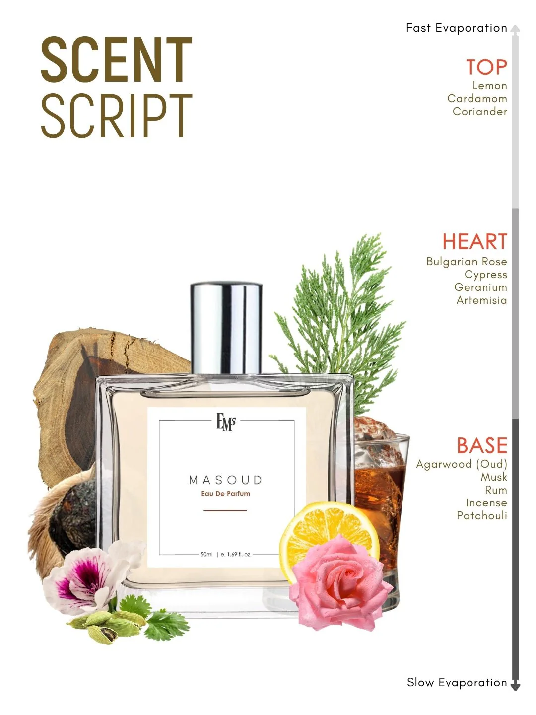 Masoud | Eau De Parfum - Image 3