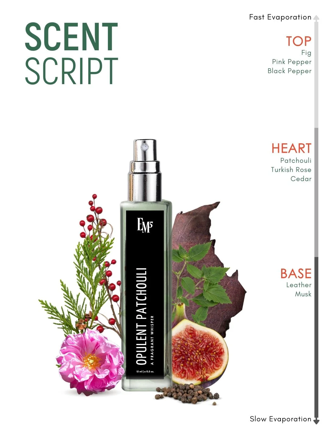 Opulent Patchouli | Eau De Parfum - Image 10