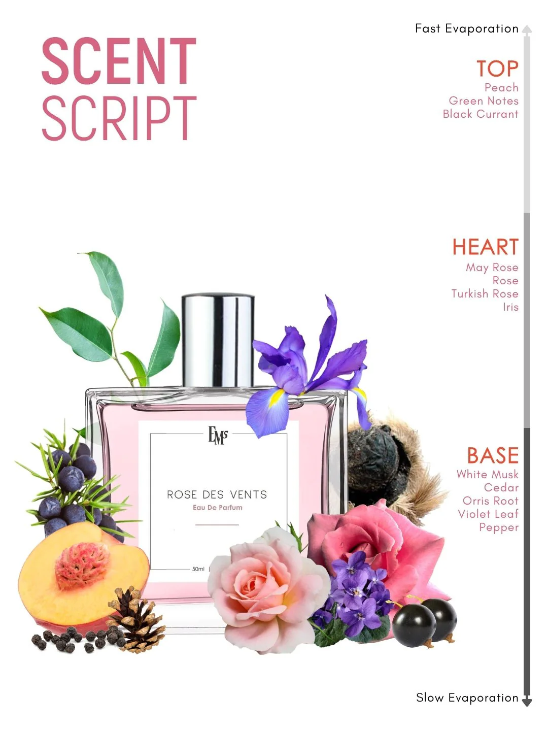 Rose Des Vents | Eau De Parfum - Image 3