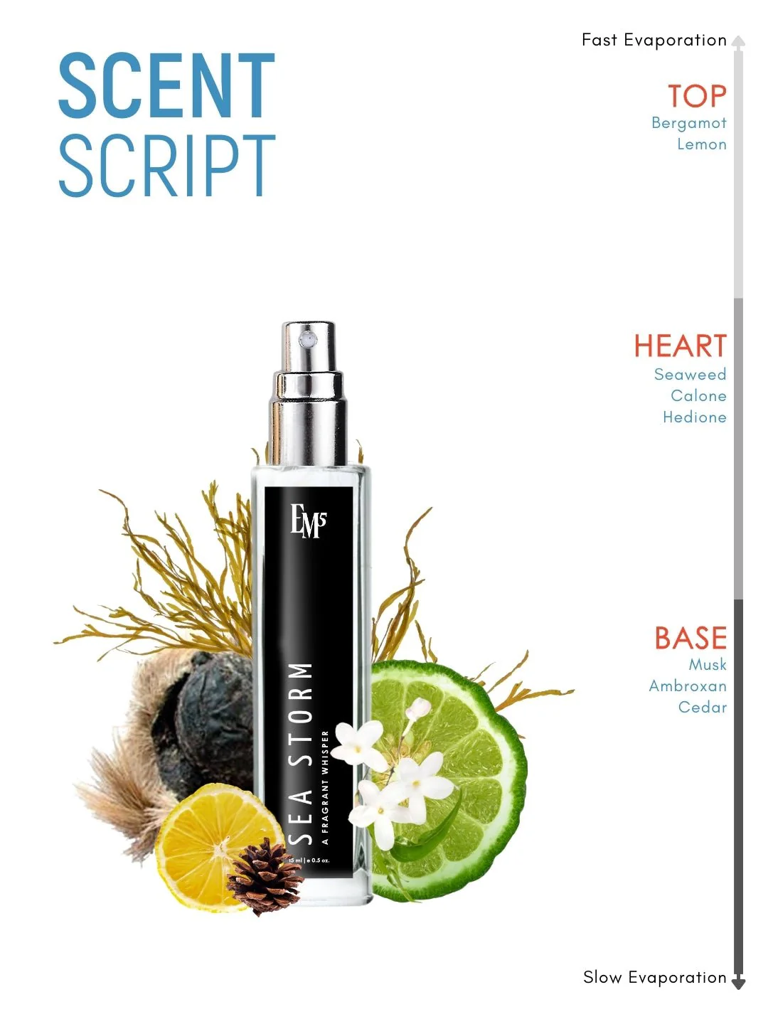 Sea Storm | Eau De Parfum - Image 10