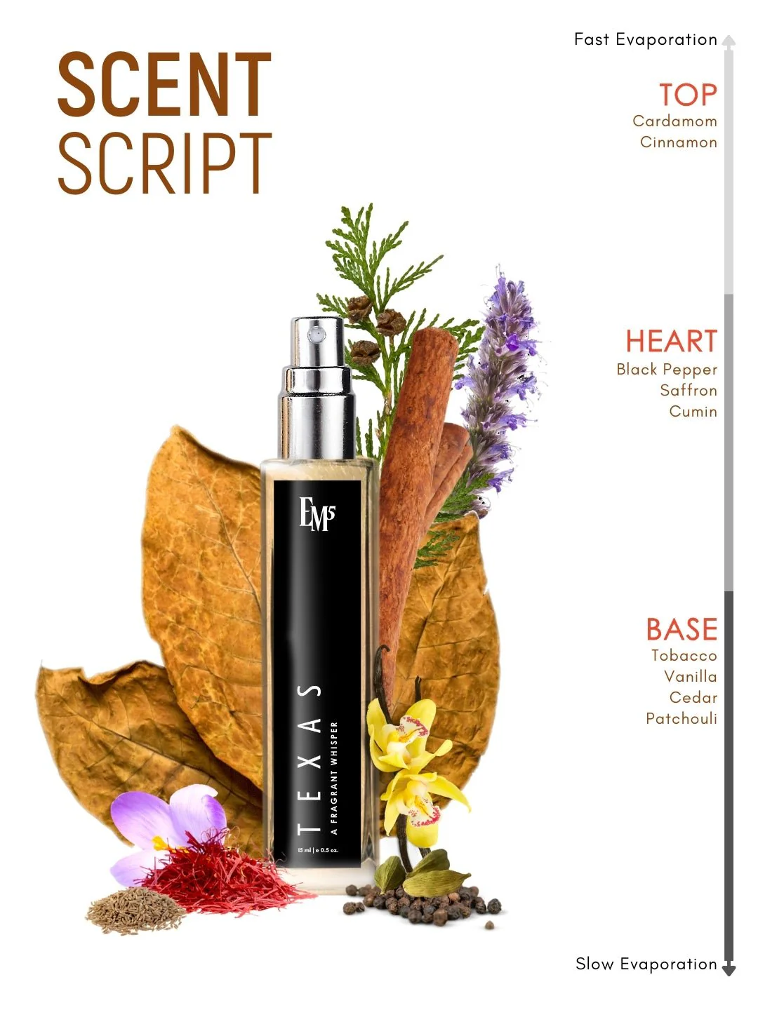 Texas | Eau De Parfum - Image 10