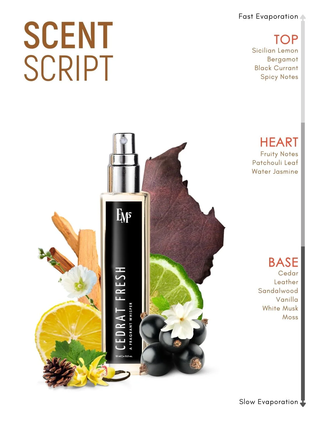 Trace 2.0 | Eau De Parfum - Image 10
