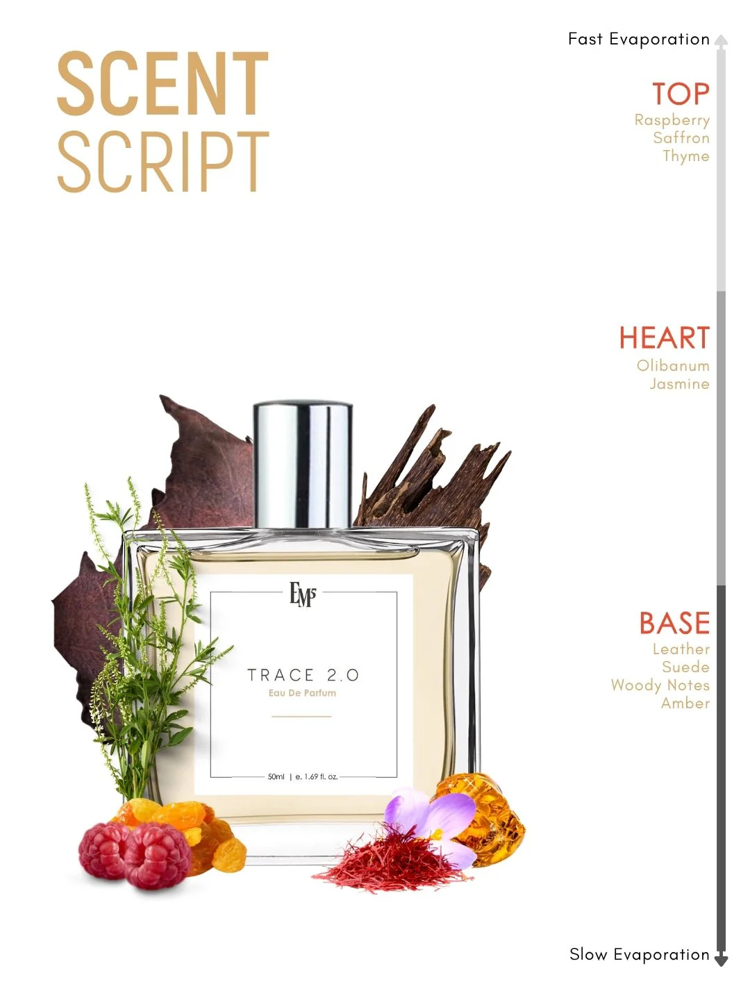 Trace 2.0 | Eau De Parfum - Image 3