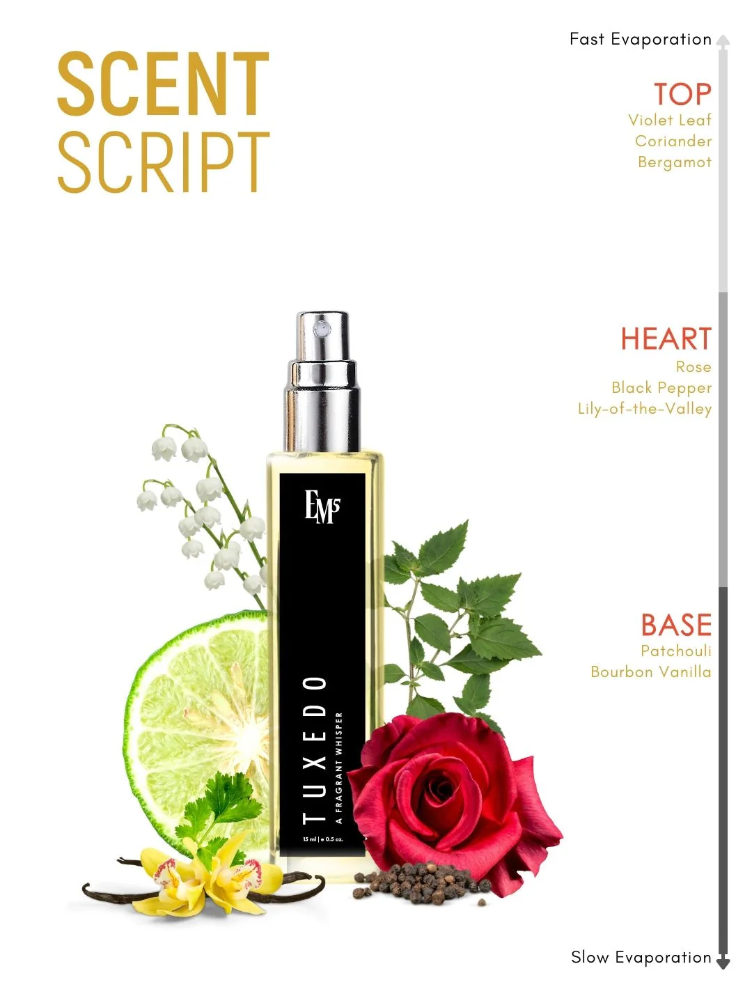 Tuxedo | Eau De Parfum - Image 10