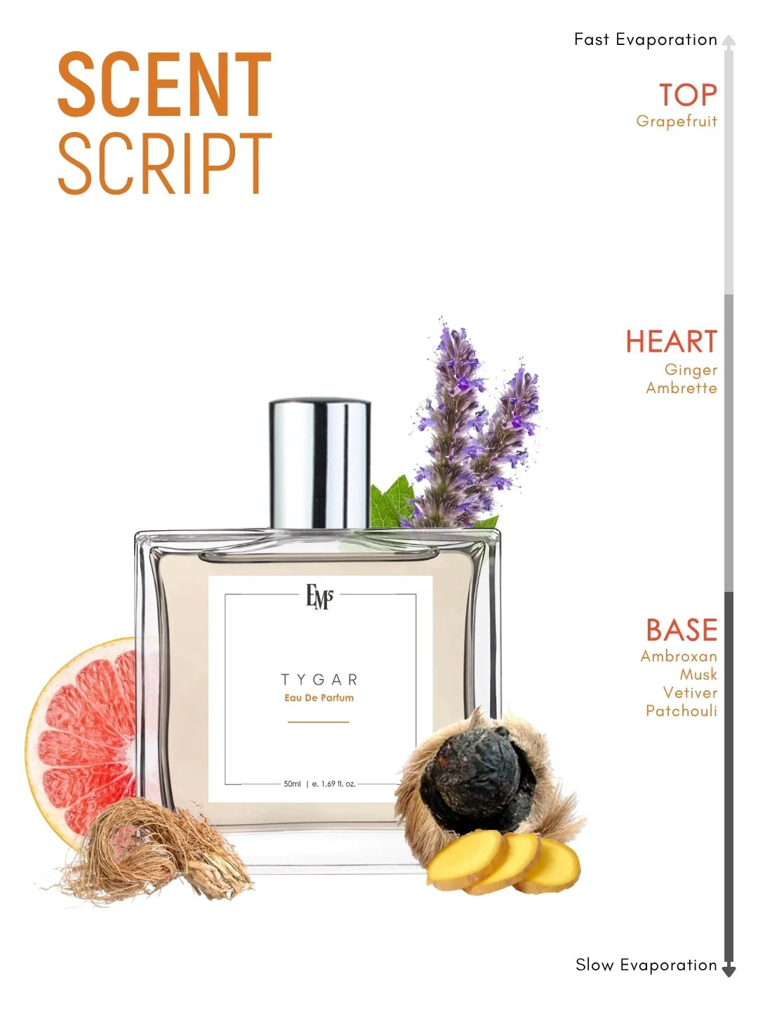 Tygar | Eau De Parfum - Image 3