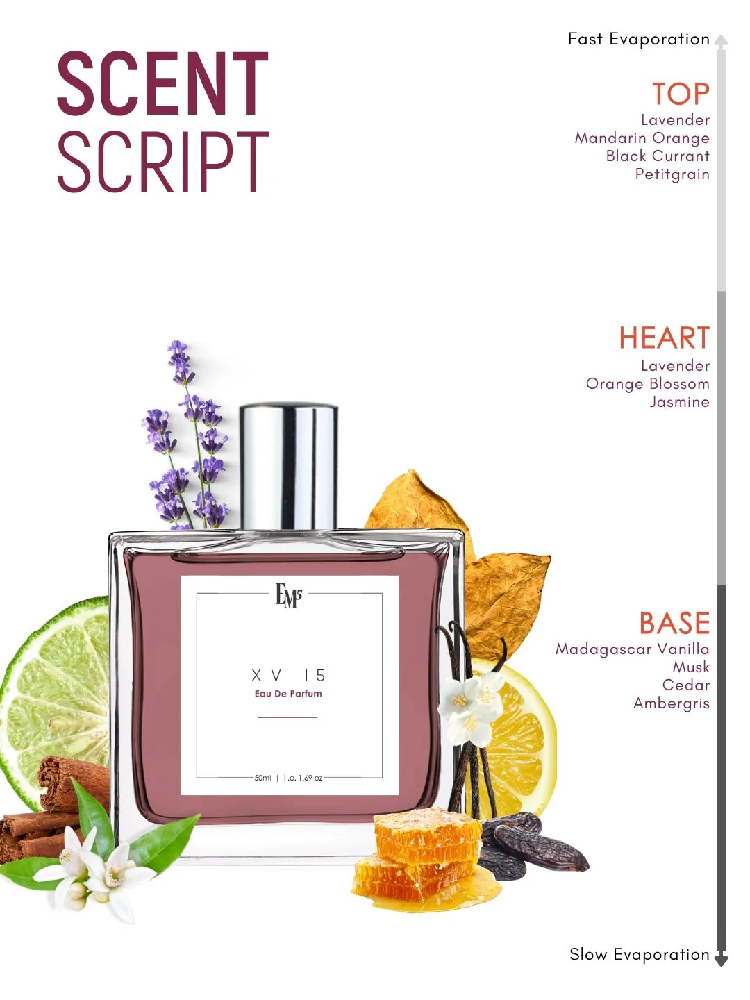 XV 15 | Eau De Parfum - Image 3