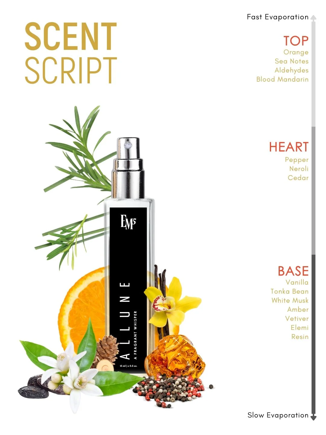Allune | Eau De Parfum - Image 10