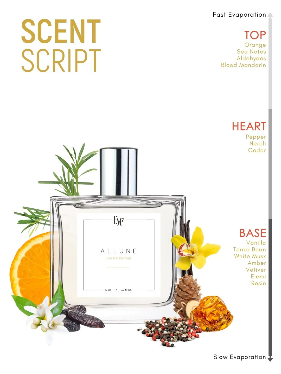 Allune | Eau De Parfum - Image 3