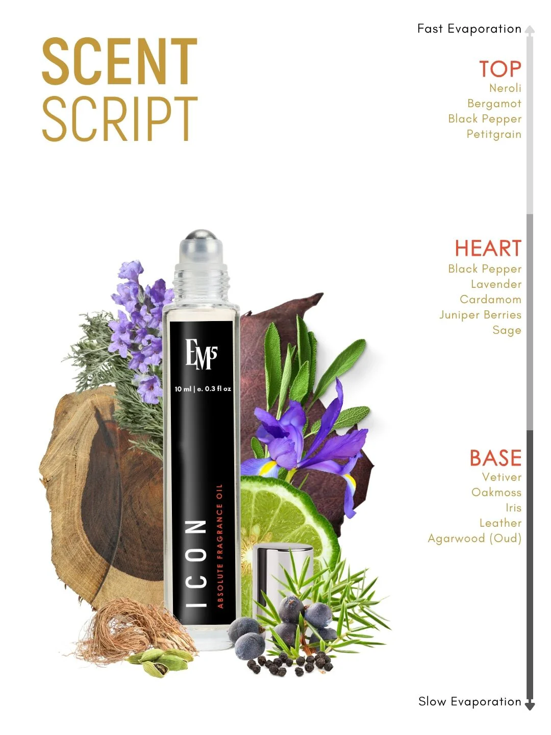 Icon Perfume Roll-On - Image 4