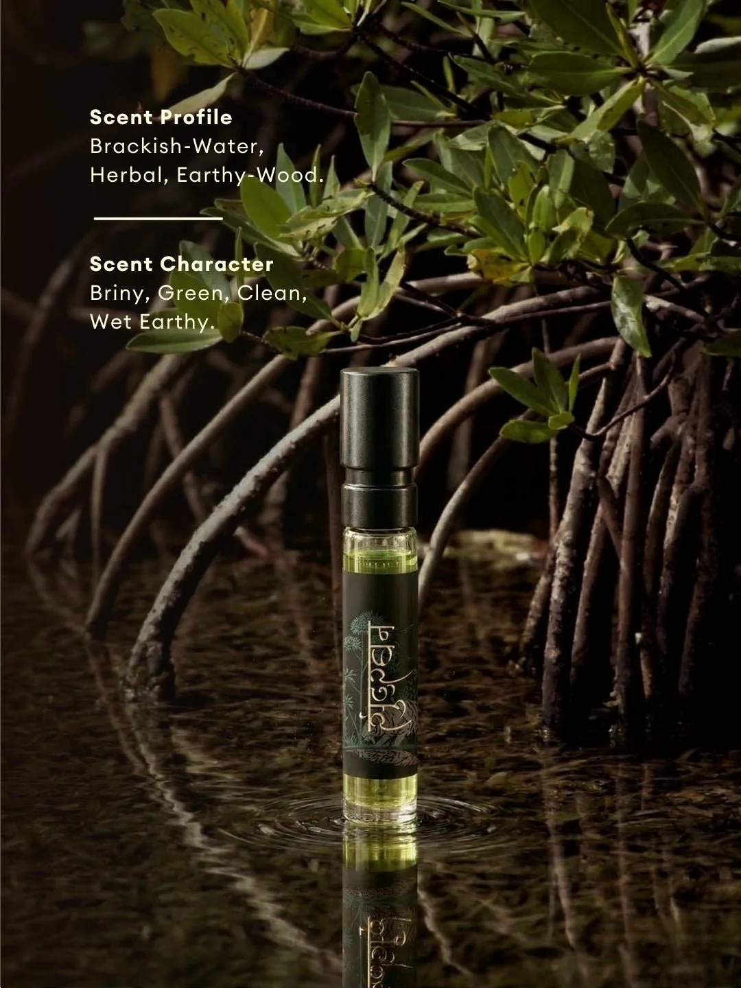 The Premium Scents Pack of 5 Perfumes - Image 8