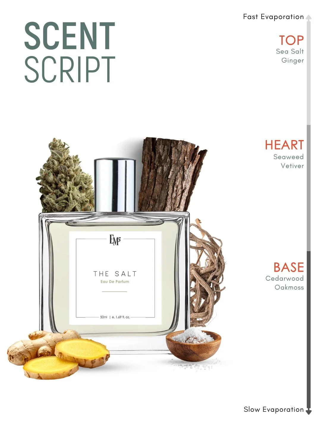 The Salt | Eau De Parfum - Image 3
