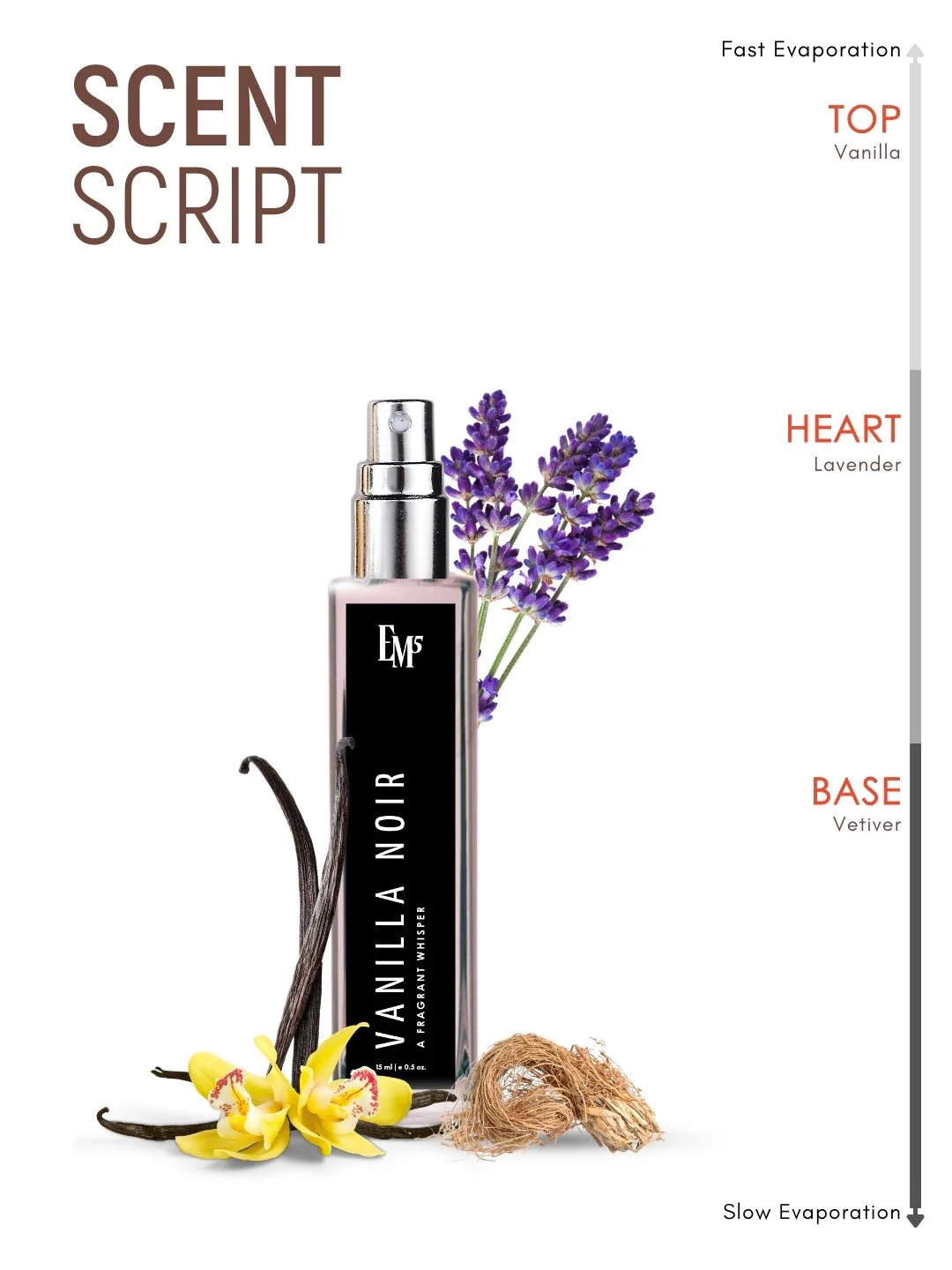 Vanilla Noir | Eau De Parfum - Image 10