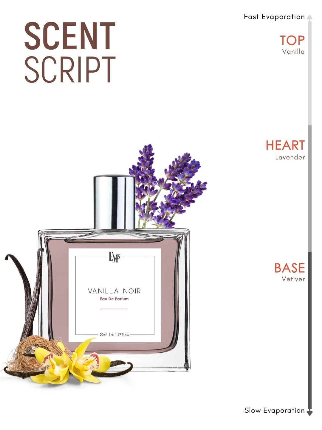 Vanilla Noir | Eau De Parfum - Image 3